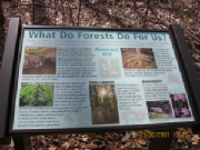 forestssign.JPG