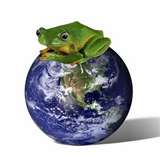FrogonEarth.jpg