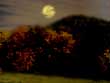 Moonlight-Over-Monocacy.jpg