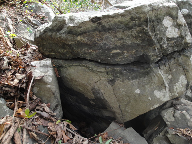 Xenoliths/Xenoliths_004.jpg