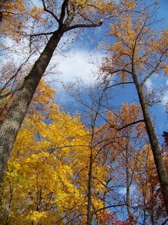 autumn/MIkeRfallphoto1.jpg